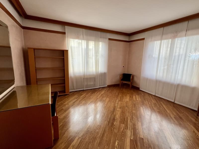 Grande et élégante villa avec terrain constructible (15)