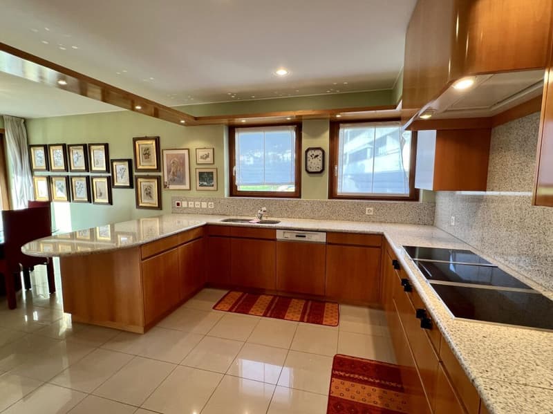 Grande et élégante villa avec terrain constructible (6)