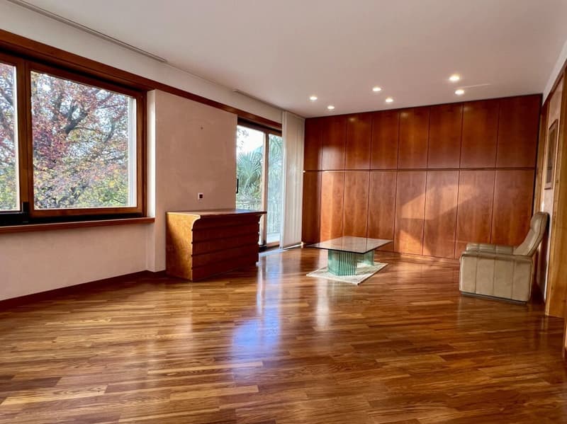 Grande et élégante villa avec terrain constructible (7)