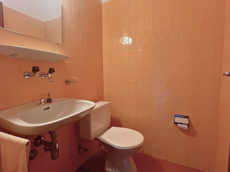 Appartamento all'ultimo piano di 5 locali con balcone (14)