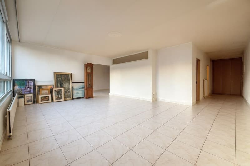Appartamento all'ultimo piano di 5 locali con balcone (1)