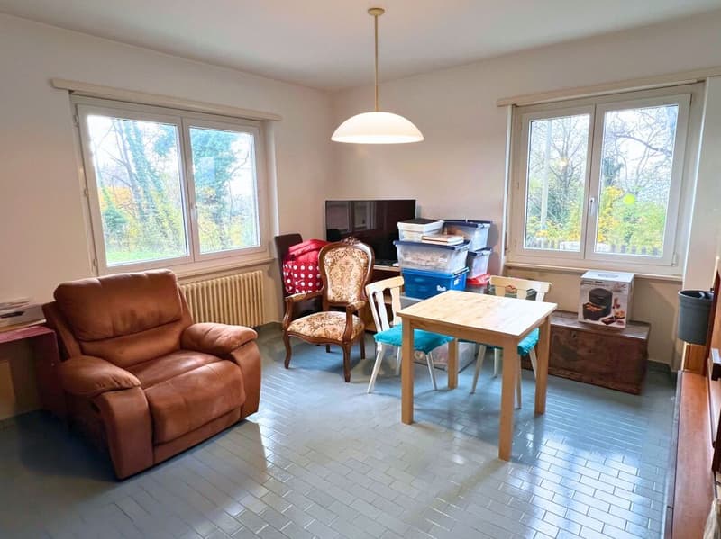 Interesting single or semi-detached house in a quiet and green area (14)