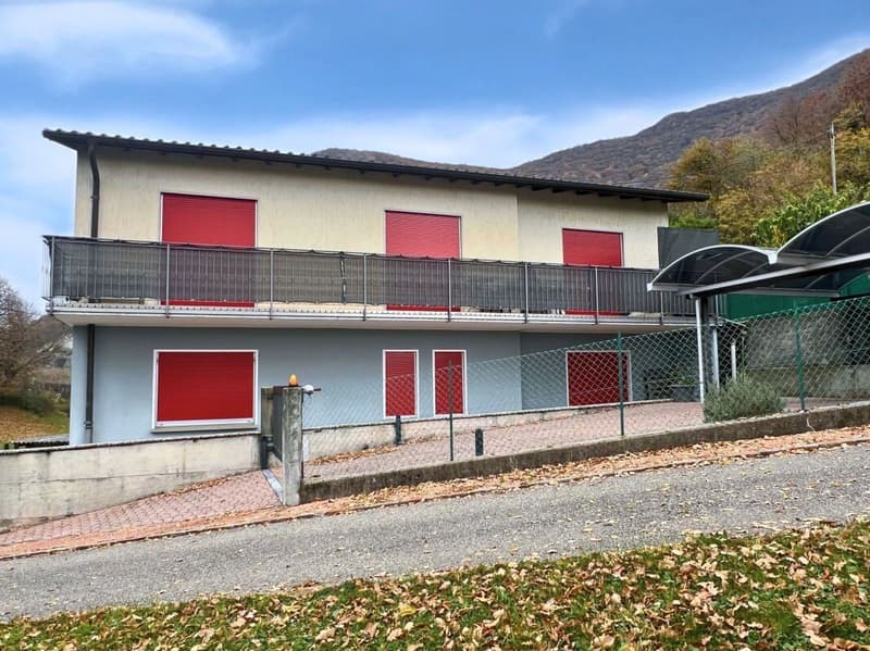 Interesting single or semi-detached house in a quiet and green area (3)