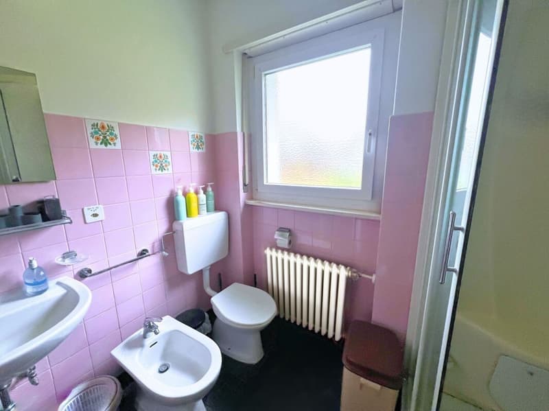 Interesting single or semi-detached house in a quiet and green area (18)