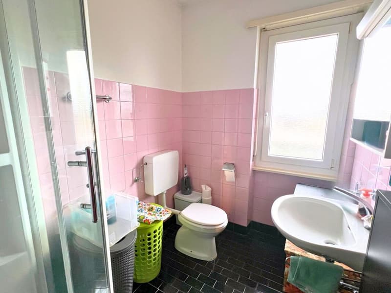 Interesting single or semi-detached house in a quiet and green area (17)