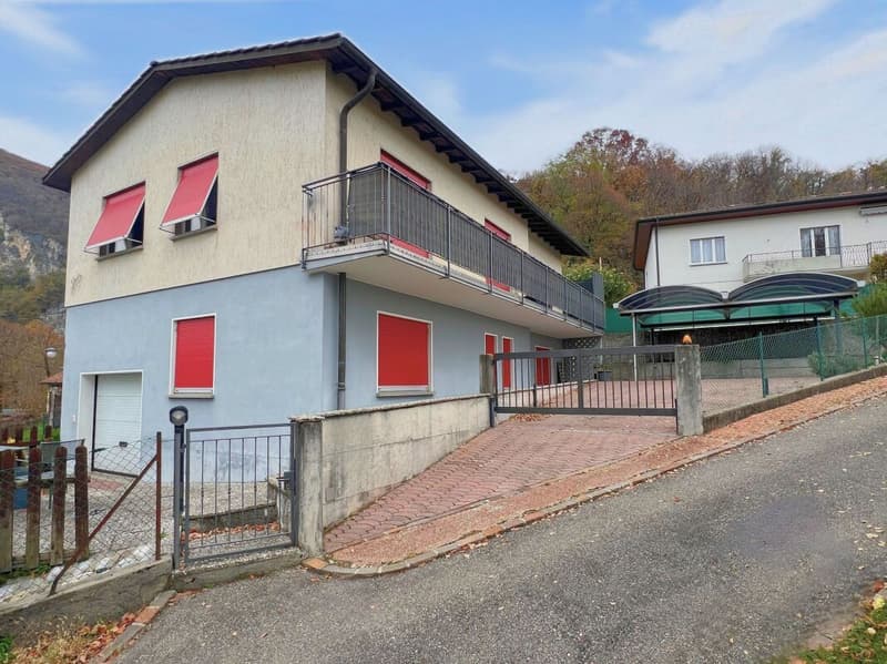 Interesting single or semi-detached house in a quiet and green area (2)