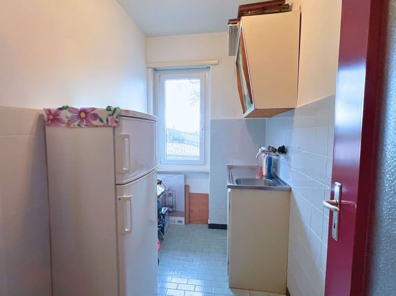 Interesting single or semi-detached house in a quiet and green area (15)