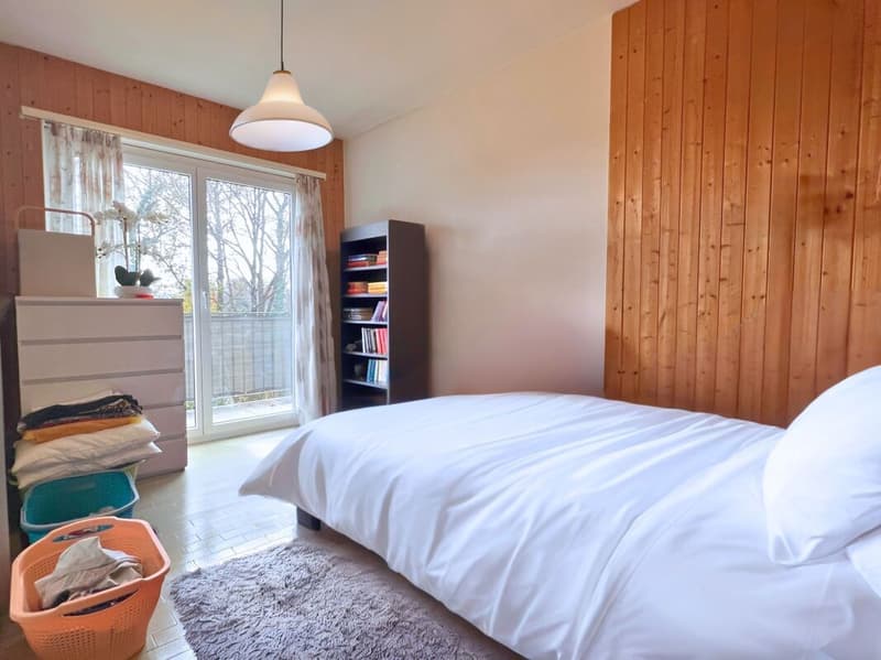 Interesting single or semi-detached house in a quiet and green area (11)