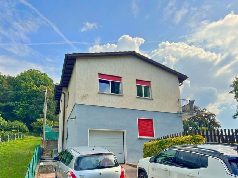 Interesting single or semi-detached house in a quiet and green area (1)