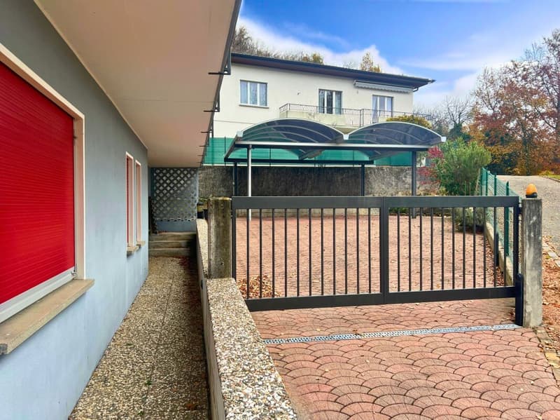 Interesting single or semi-detached house in a quiet and green area (6)