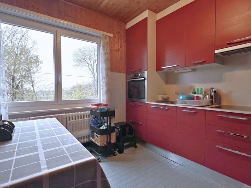 Interesting single or semi-detached house in a quiet and green area (9)