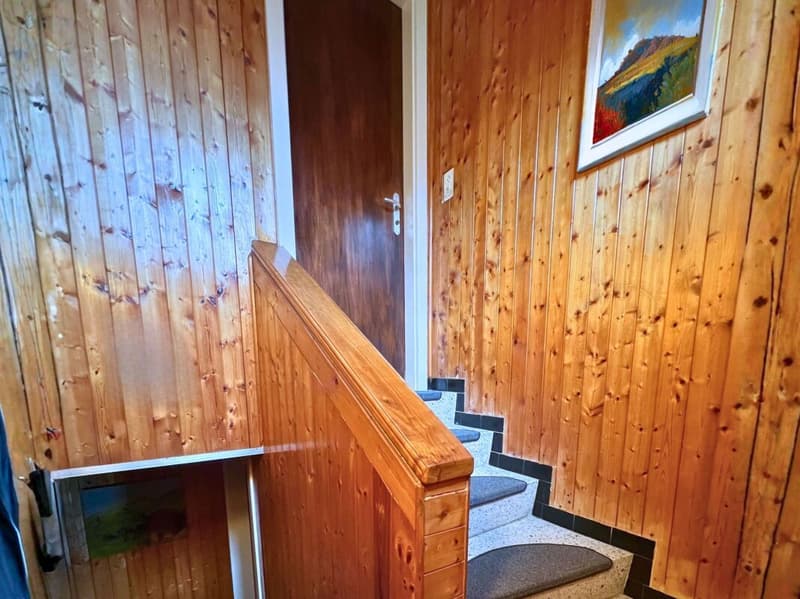 Interesting single or semi-detached house in a quiet and green area (13)