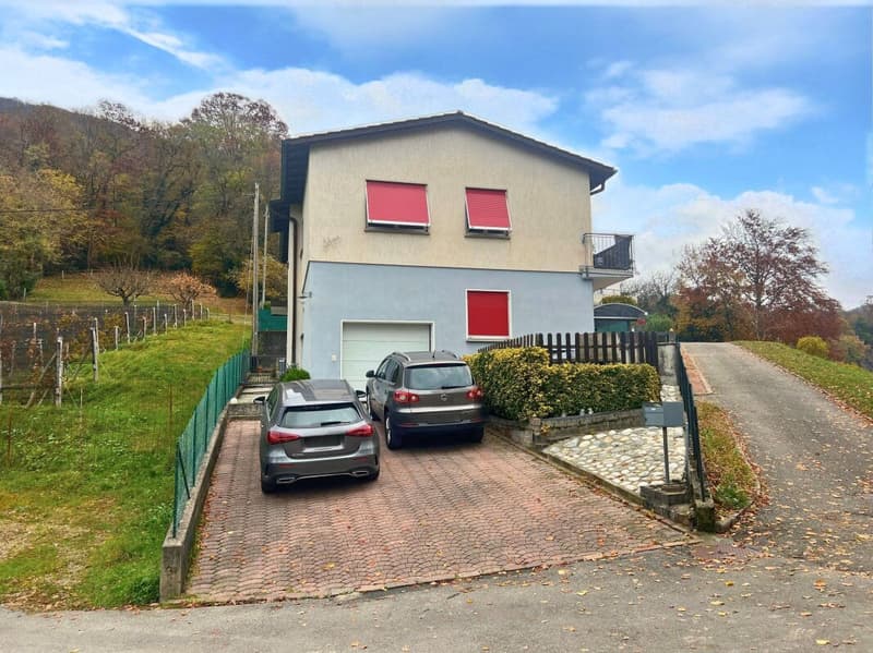 Interesting single or semi-detached house in a quiet and green area (24)