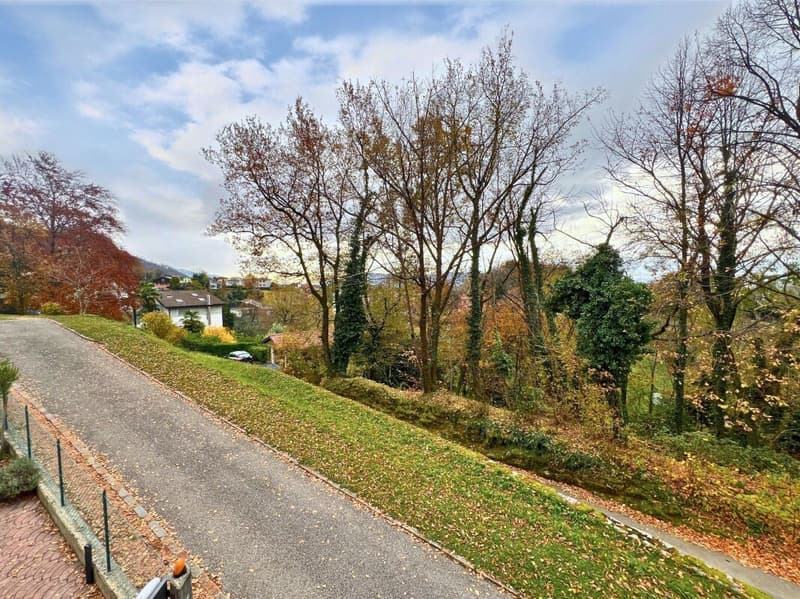 Interesting single or semi-detached house in a quiet and green area (20)