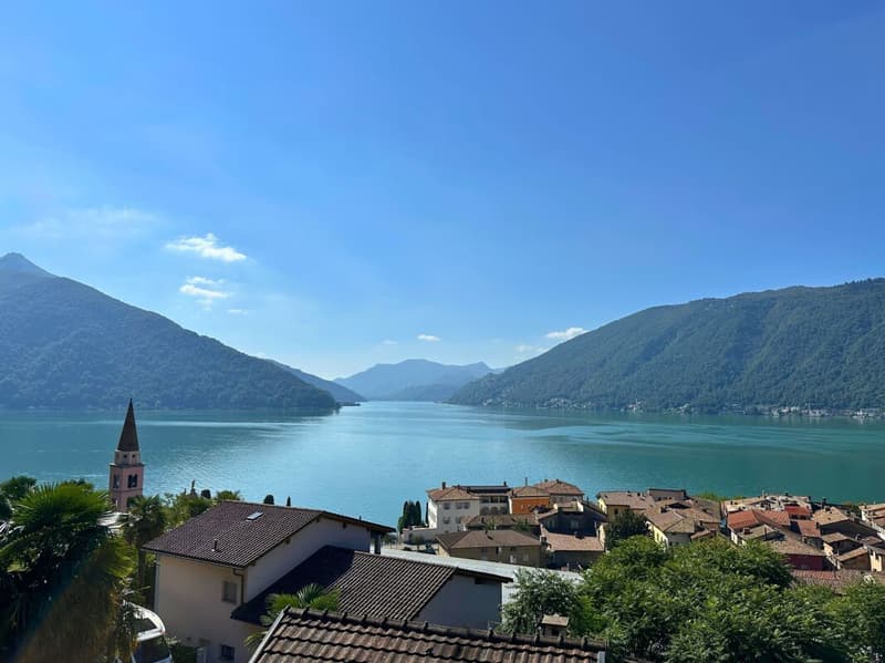 Interessante appartamento di 5.5 locali con grande terrazza e splendida vista lago (1)