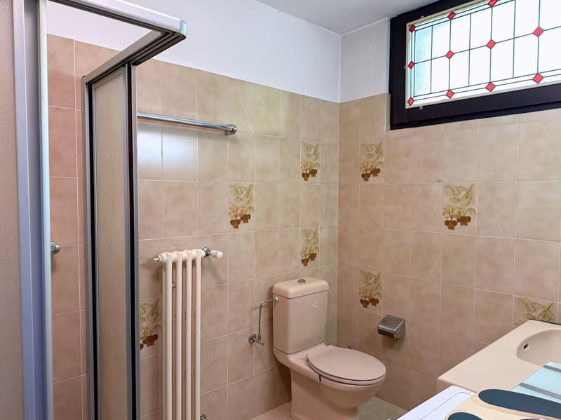 Interessante appartamento di 5.5 locali con grande terrazza e splendida vista lago (18)
