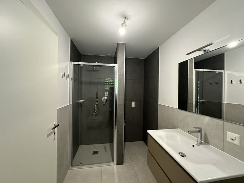 Nouvel et moderne appartement de 3.5 pièces avec jardin privé et terrasse à Mendrisio Arzo (7)