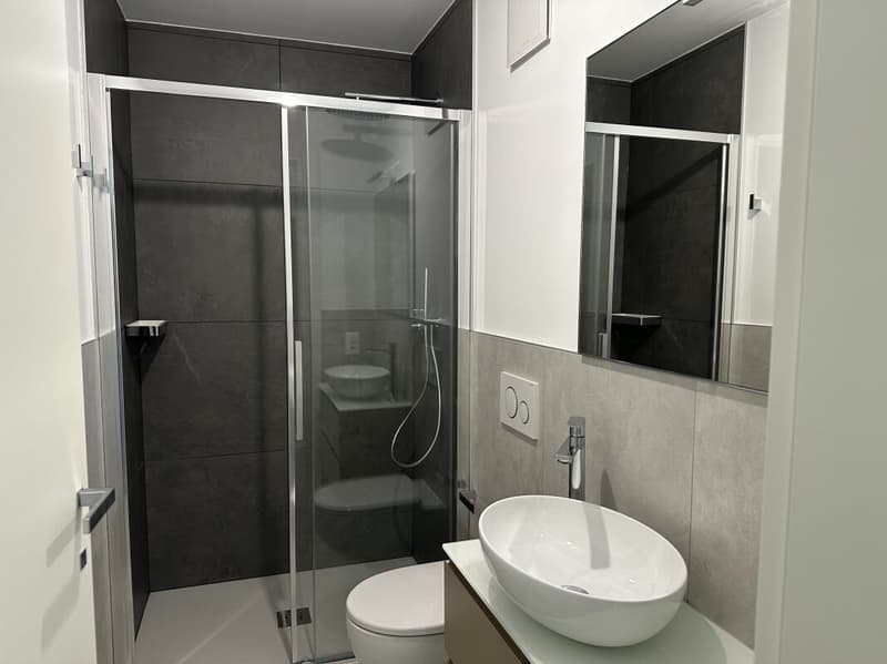 Nouvel et moderne appartement de 3.5 pièces avec jardin privé et terrasse à Mendrisio Arzo (10)
