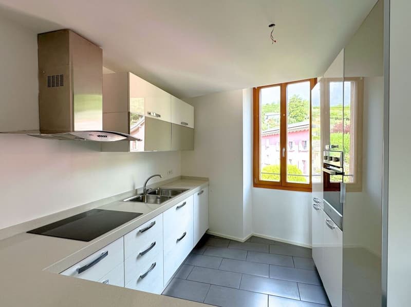 Appartement duplex caractéristique de 3,5 pièces, dernier étage (6)