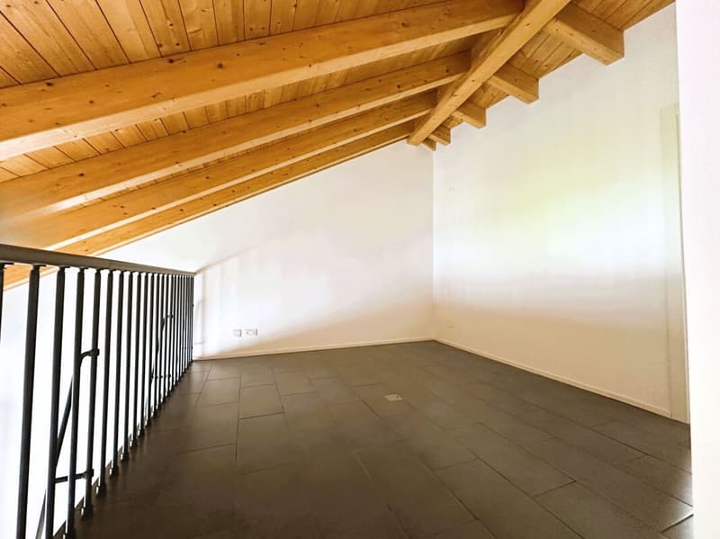 Appartement duplex caractéristique de 3,5 pièces, dernier étage (9)
