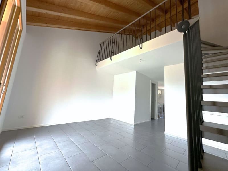 Appartement duplex caractéristique de 3,5 pièces, dernier étage (3)