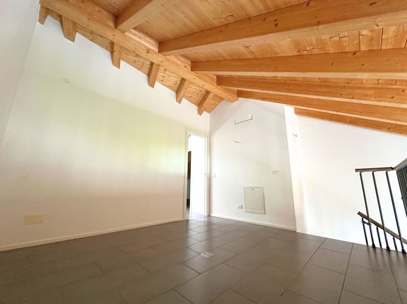 Appartement duplex caractéristique de 3,5 pièces, dernier étage (10)