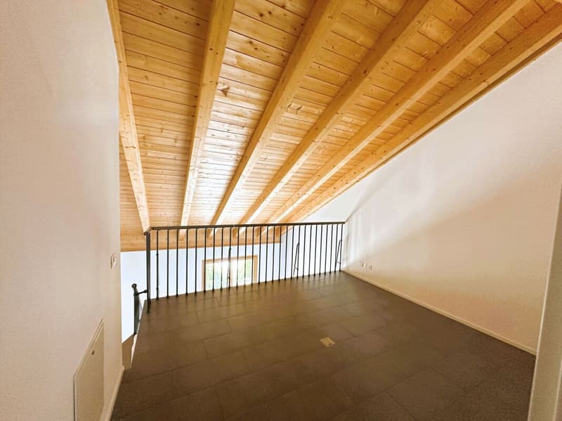 Appartement duplex caractéristique de 3,5 pièces, dernier étage (11)