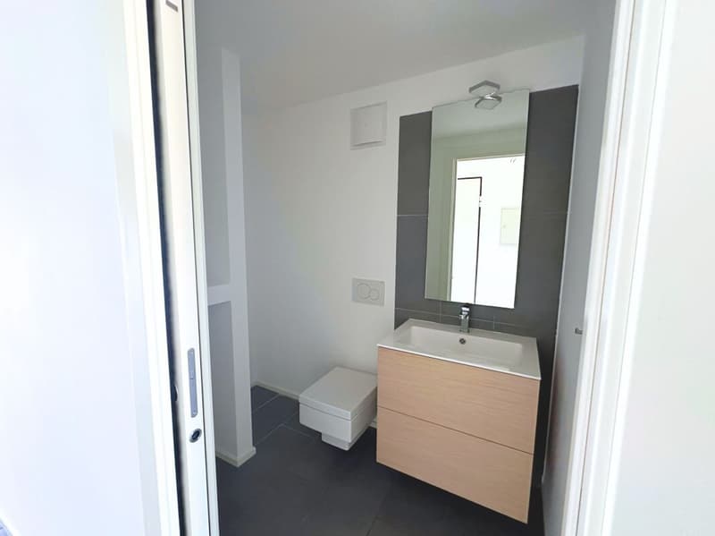 Appartement duplex caractéristique de 3,5 pièces, dernier étage (15)