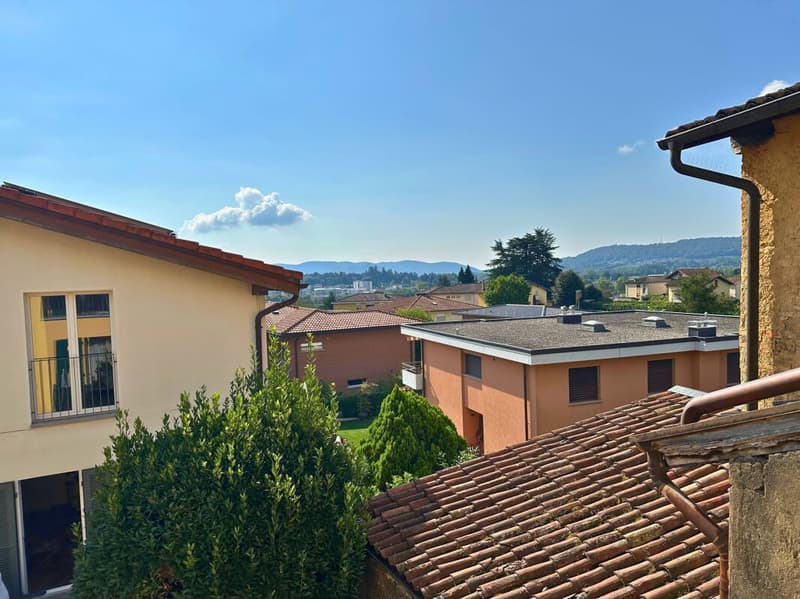 Appartement duplex caractéristique de 3,5 pièces, dernier étage (19)