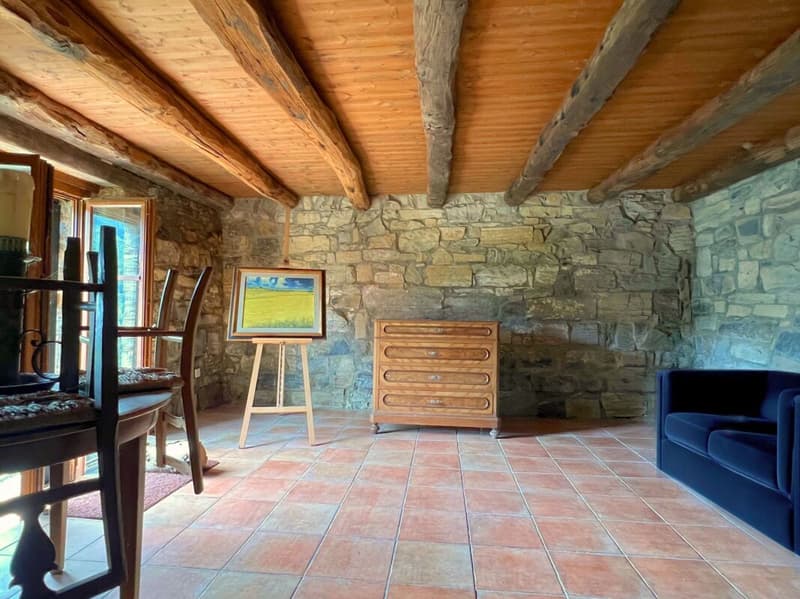 Grazioso rustico ristrutturato con vista aperta sulla valle (8)
