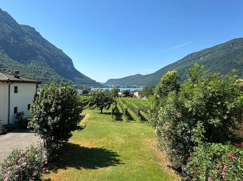 Interesting single-family house in the green, with large hobby room/garage and partial lake view (6)
