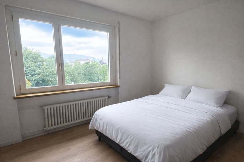Apartment with 3.5 rooms, furnished, with balcony (6)