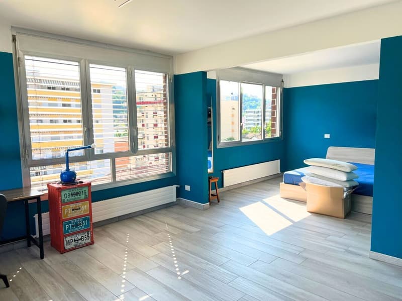 Charming apartment in the center of Chiasso (2)