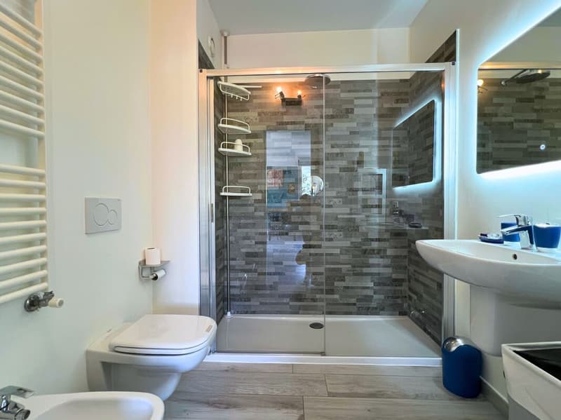 Charming apartment in the center of Chiasso (7)
