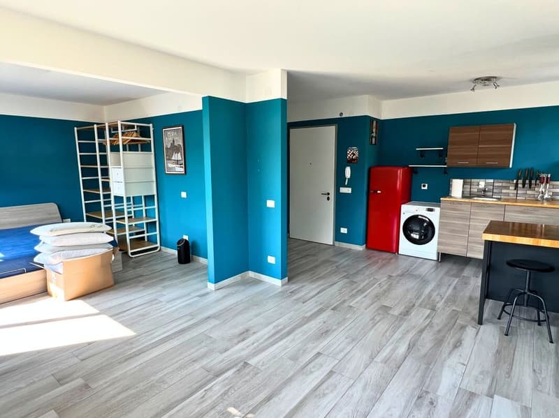 Charming apartment in the center of Chiasso (4)