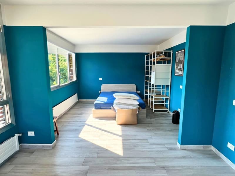 Charming apartment in the center of Chiasso (3)