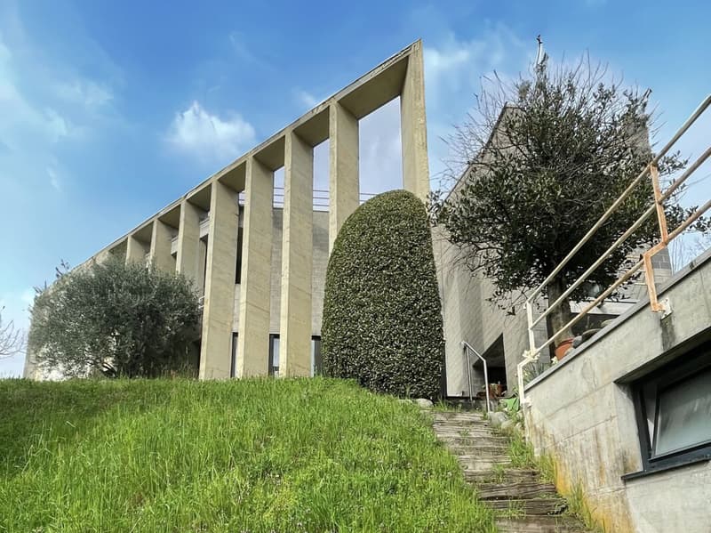 Maison unifamiliale sur trois niveaux avec terrasse panoramique et jardin (2)