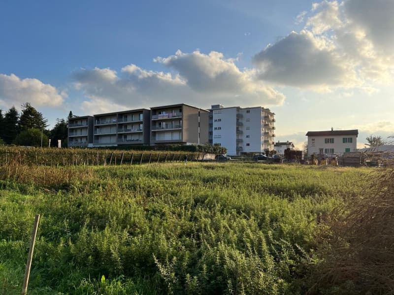 Industriegelände von ca. 2'600 m² in Mendrisio (1)