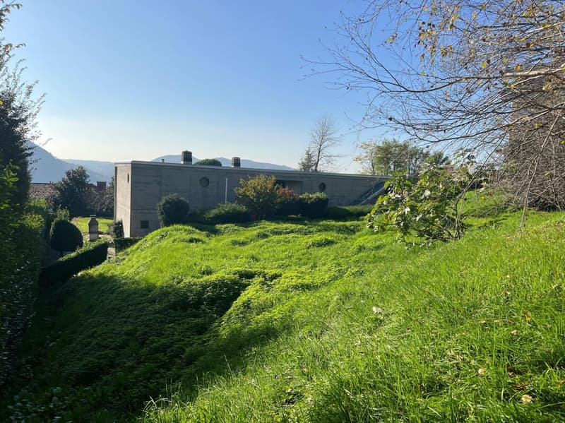 Terrain constructible avec projet à Morbio Inferiore (1)