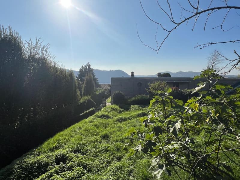 Terrain constructible avec projet à Morbio Inferiore (8)