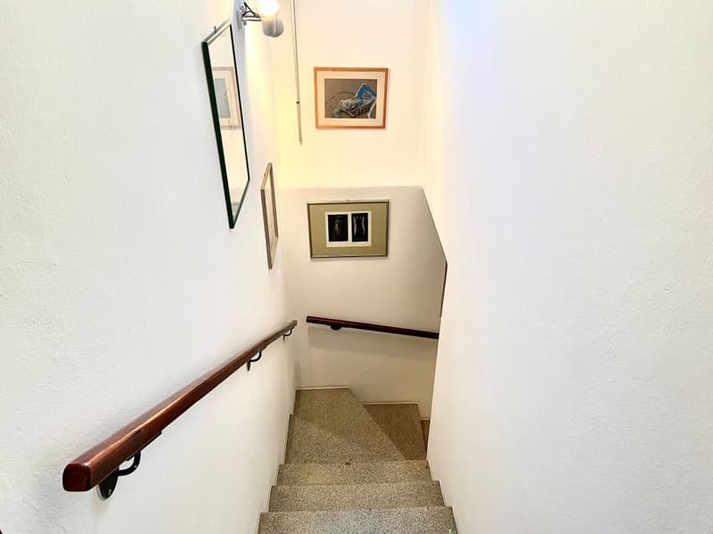Detached house with garden and garage (9)