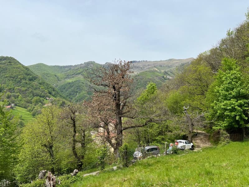 Terrain de 1'870 m² en position surélevée et ensoleillée (2)