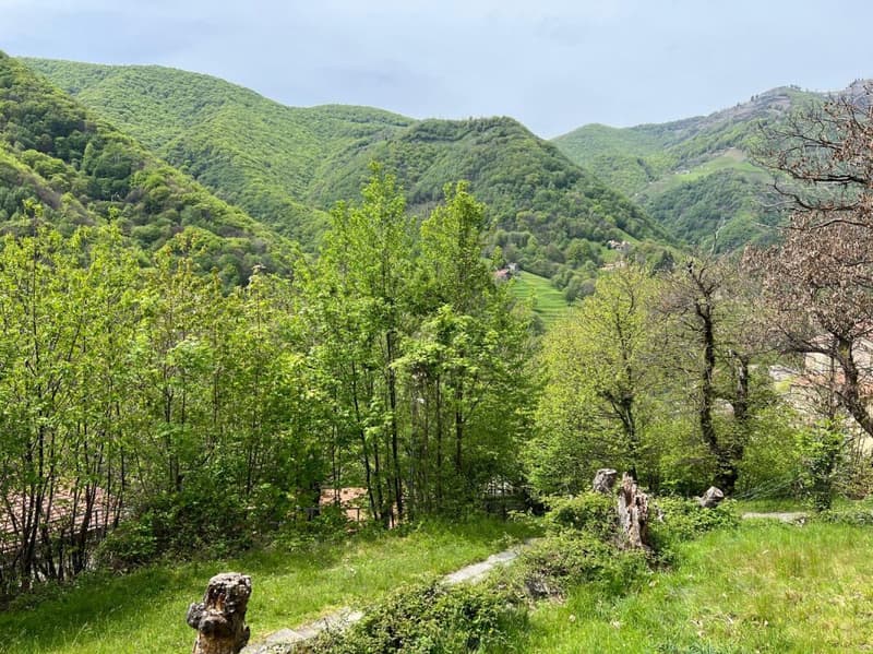 Terrain de 1'870 m² en position surélevée et ensoleillée (1)