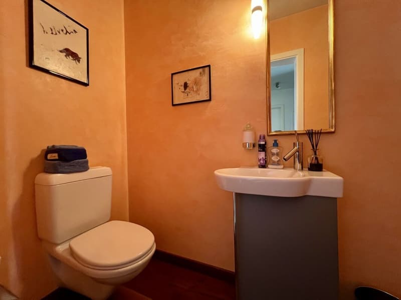 Spacious and elegant 270 sqm apartment on the top floor (15)