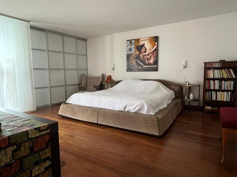 Spacious and elegant 270 sqm apartment on the top floor (9)