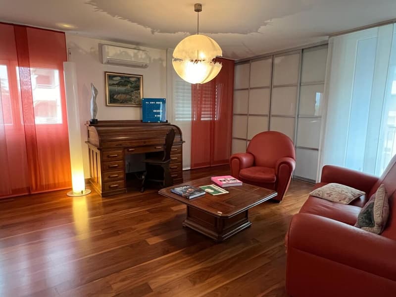 Spacious and elegant 270 sqm apartment on the top floor (10)
