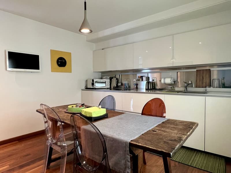 Spacious and elegant 270 sqm apartment on the top floor (7)