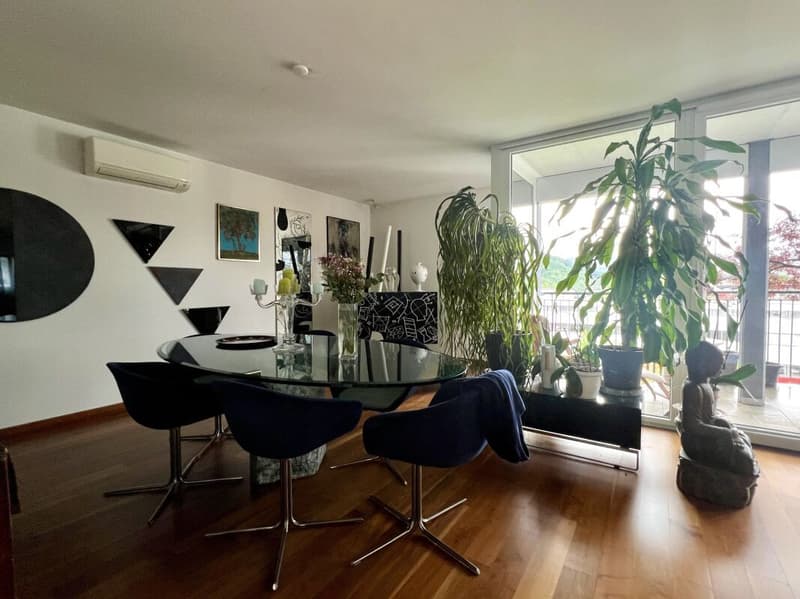Spacious and elegant 270 sqm apartment on the top floor (6)