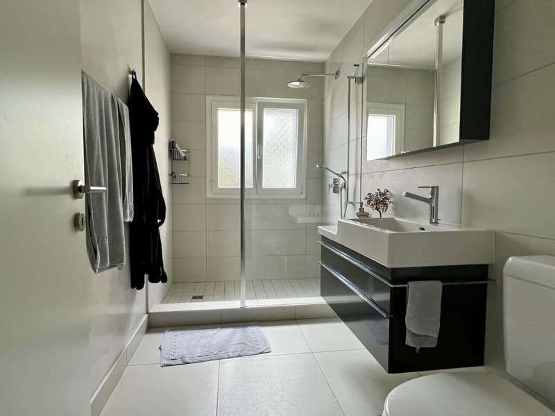 Spacious and elegant 270 sqm apartment on the top floor (14)