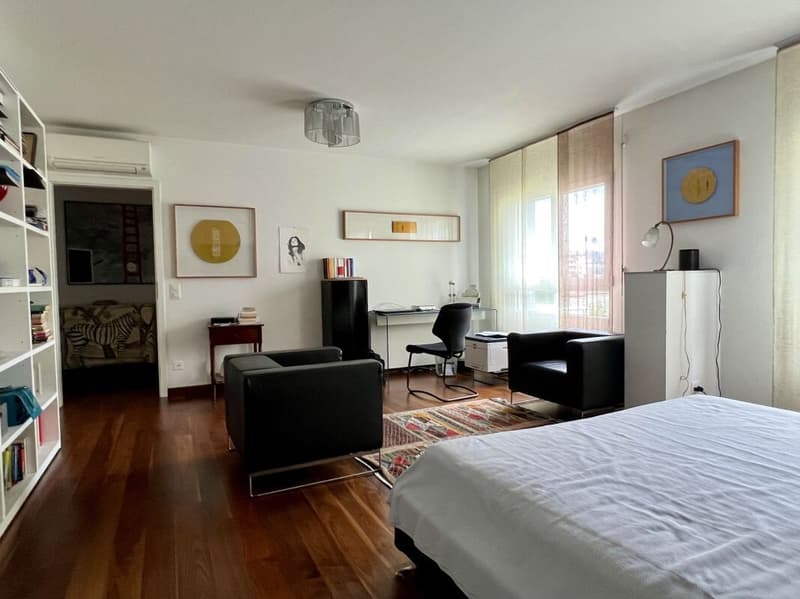 Spacious and elegant 270 sqm apartment on the top floor (12)